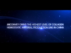 MICONVEY εισαγωγή επιχείρησης